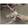 Image 2 : Stone Deer Ornament 35'' Tall x 29'' Long