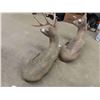 Image 8 : Lounging Deer and Doe Cement Lawn Ornaments