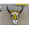 Image 1 : Painted Cow Skull 20'' Across at Horns