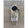 Image 1 : Horse? Skull with Art Work 19'' Long