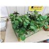 Image 2 : 2 Boxes of Assorted Artificial Plants - Turn Your House into 