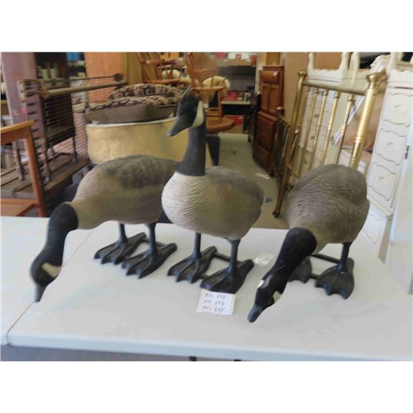 3 Big Foot Canadian Goose Decoys - Full Body