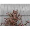 Image 2 : Artificial Cherry Blossom Plant 72'' Tall