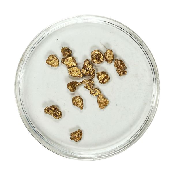 Gold Nuggets 2.14 Grams Total Weight