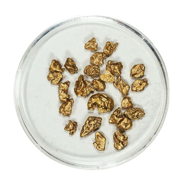 Gold Nuggets 4.50 Grams Total Weight