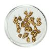 Image 1 : Gold Nuggets 4.50 Grams Total Weight