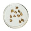 Image 1 : Gold Nuggets 1.79 Grams Total Weight