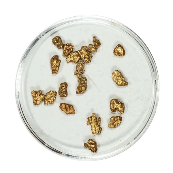 Gold Nuggets 2.90 Grams Total Weight