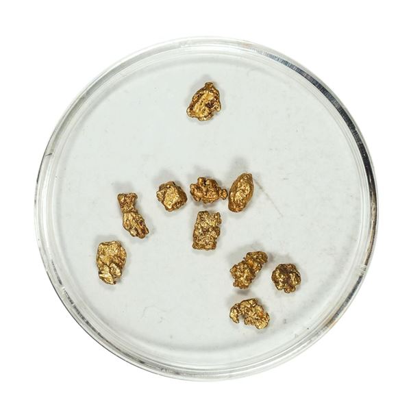 Gold Nuggets 1.67 Grams Total Weight