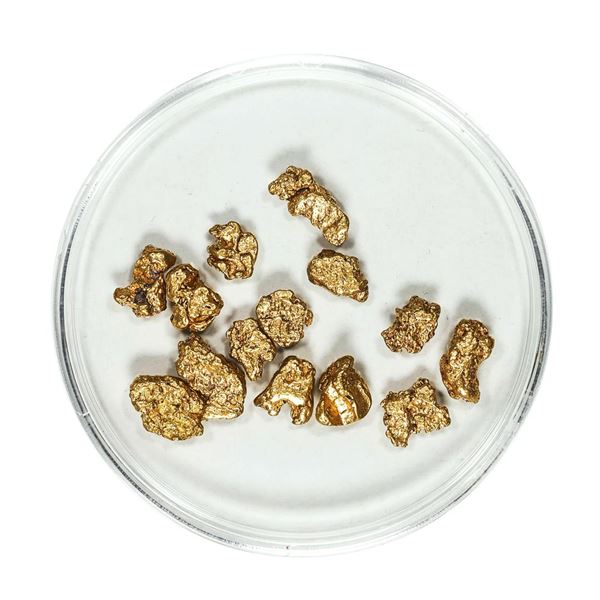 Gold Nuggets 4.51 Grams Total Weight