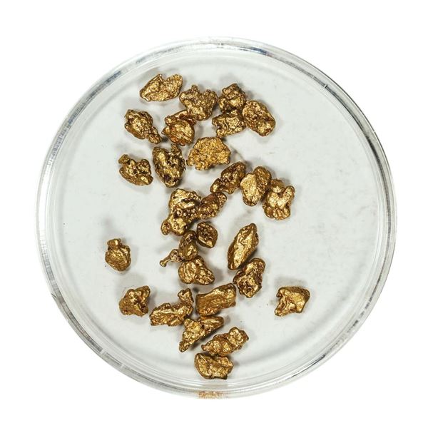 Gold Nuggets 4.83 Grams Total Weight