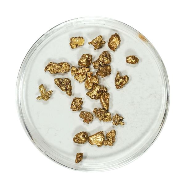 Gold Nuggets 3.38 Grams Total Weight