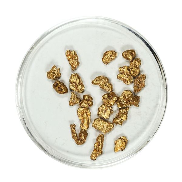 Gold Nuggets 3.51 Grams Total Weight
