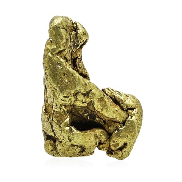2.90 Gram Yukon Gold Nugget