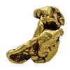 2.89 Gram Yukon Gold Nugget