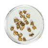 Image 1 : Gold Nuggets 2.72 Grams Total Weight