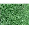 Image 3 : Aloha Stadium Souvenir Field Turf, 6 Inches x 6 Inches