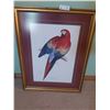 Image 1 : Print Of A Macrocercus Aracanga (Red And Yellow Macaw) 2/3 Nat Size - 23 3/4 W x 29.5H