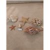 Image 1 : Beach Décor - Coral, Starfish, And Shells