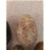 Image 2 : Seven Assorted Stone Eggs