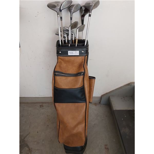 Assorted Right Handed Gold Clubs With Golf Bag (Well Used)