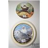 Image 8 : Selection of collector plates including 6 duck plates in frames, a framed owl plate and a pheasant p