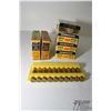 Image 1 : Six 20 count boxes of .303 SAV reloads and a plastic ammo holder w/ 10 (appear to be factory rounds)