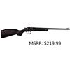 Image 1 : Keystone Sporting Arms Crickett 22 LR Black Rifle