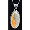 Image 1 : Sterling Ocean Jasper Pendant Necklace