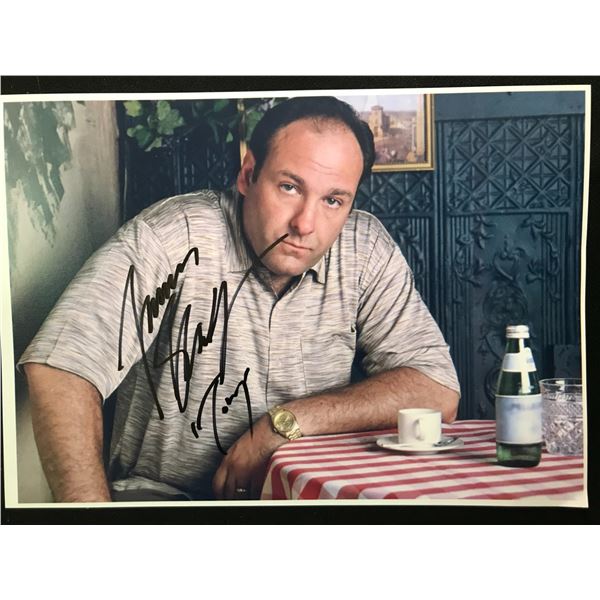 JAMES GANDOLFINI SIGNED SOPRANOS 8 X 10 (RA COA)