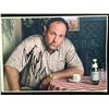 Image 1 : JAMES GANDOLFINI SIGNED SOPRANOS 8 X 10 (RA COA)