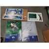 Image 1 : LARGE COLLECTION EXPORT A SKINS GAME ADVERTISING POSTERS