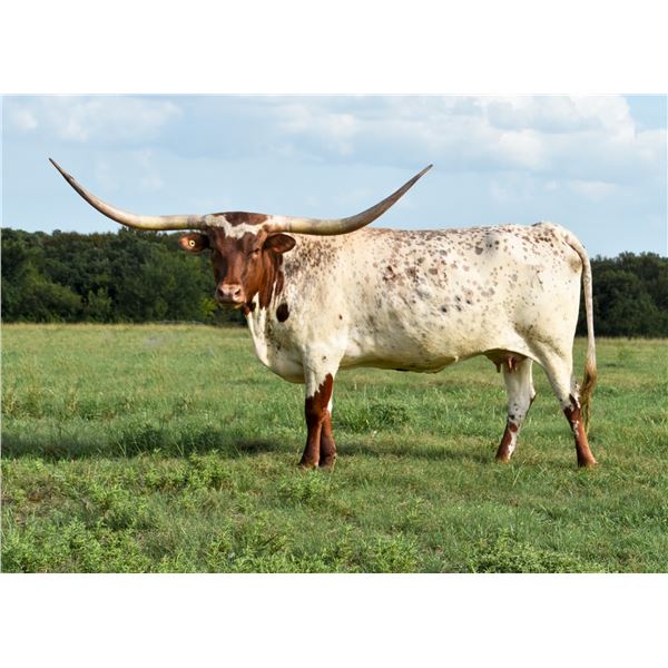 Riverforks Tuff As Nails