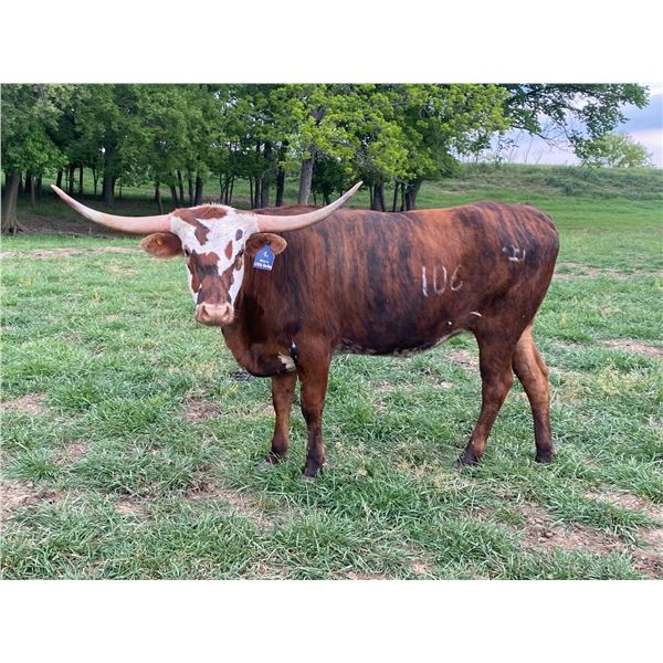 Rio's Little Darling