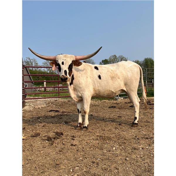 RVR Taking a Long Drag