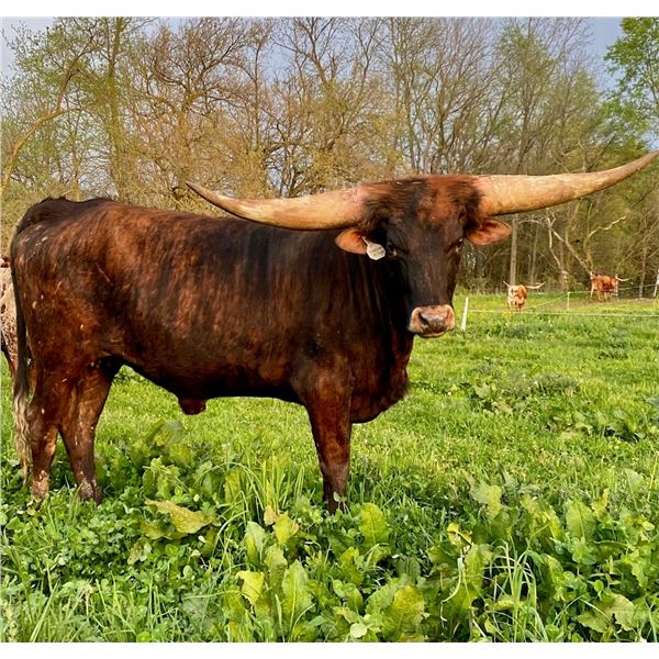 DJ Jeremiahs Delight