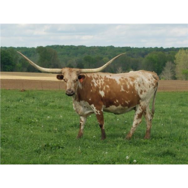 HL Sittin On The River