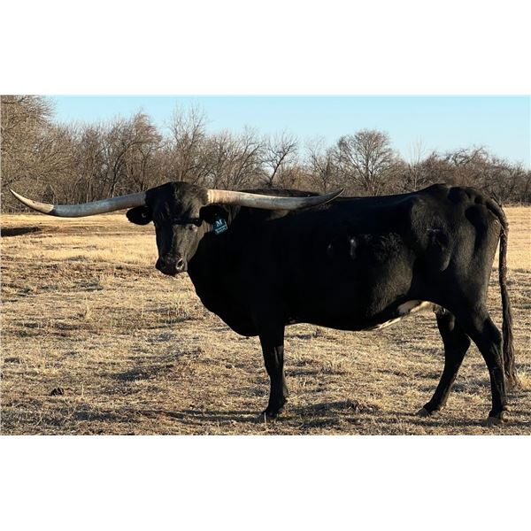 Riverforks Black Ice