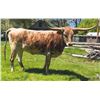 Image 1 : SCRATCH - SRL CASSIDY