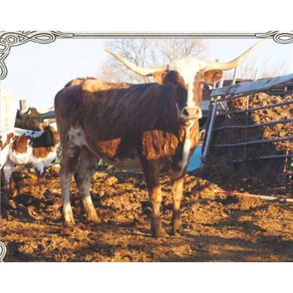 Jasmen's Overhead Gypsy