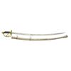 Image 1 : US M1860 CAVALRY SABER.