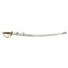 Image 1 : US M1860 ENLISTED CAVALRY SABER.
