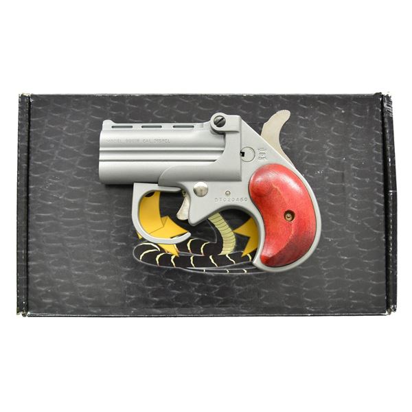 COBRA FIREARMS BIG BORE GUARDIAN 38