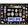 Image 5 : LARGE GROUP OF MILITARY INSIGNIA FROM VARIOUS