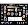 Image 6 : LARGE GROUP OF MILITARY INSIGNIA FROM VARIOUS