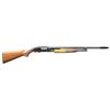 Image 3 : WINCHESTER MODEL 12 SKEET STYLE PUMP SHOTGUN