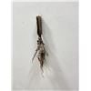 Image 2 : Plains Indian Shaman Dance Armband