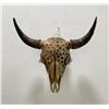 Image 1 : Arapaho Native American Painted Buffalo Skull