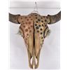 Image 3 : Arapaho Native American Painted Buffalo Skull