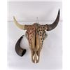 Image 4 : Arapaho Native American Painted Buffalo Skull